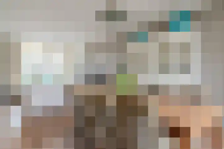 Hoekeindseweg 1 Bleiswijk thumbnail 12