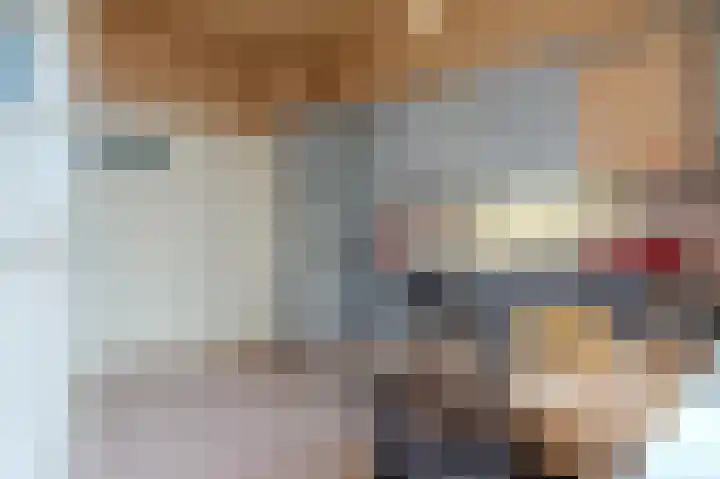 Hoekeindseweg 1 Bleiswijk thumbnail 16
