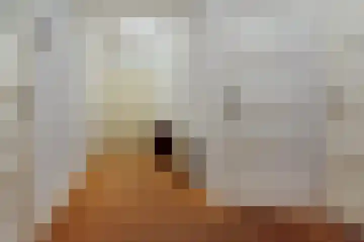 Hoekeindseweg 1 Bleiswijk thumbnail 17