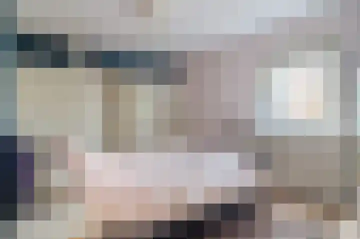 Hoekeindseweg 1 Bleiswijk thumbnail 19