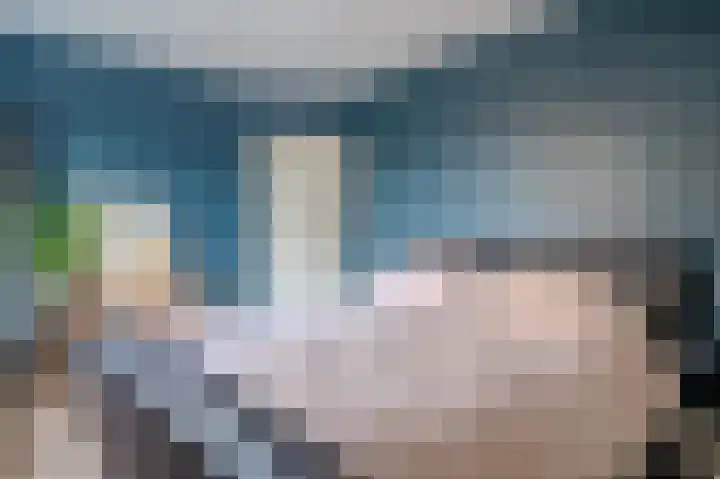 Hoekeindseweg 1 Bleiswijk thumbnail 20