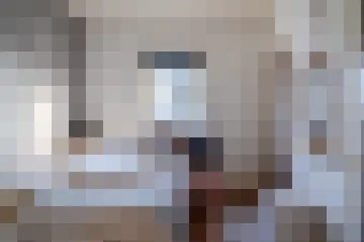 Hoekeindseweg 1 Bleiswijk thumbnail 21