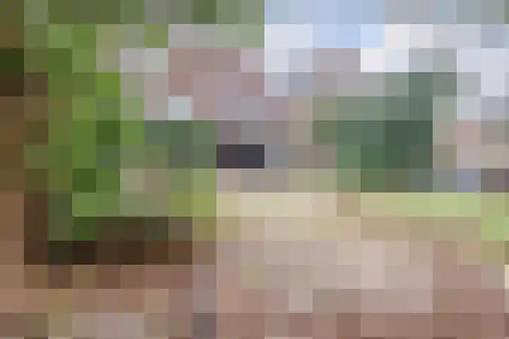 Hoekeindseweg 1 Bleiswijk thumbnail 28