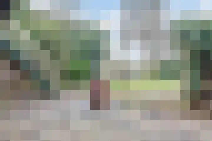 Hoekeindseweg 1 Bleiswijk thumbnail 30