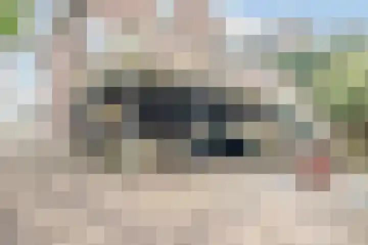 Hoekeindseweg 1 Bleiswijk thumbnail 31