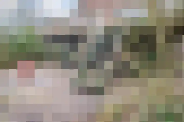 Hoekeindseweg 1 Bleiswijk thumbnail 32
