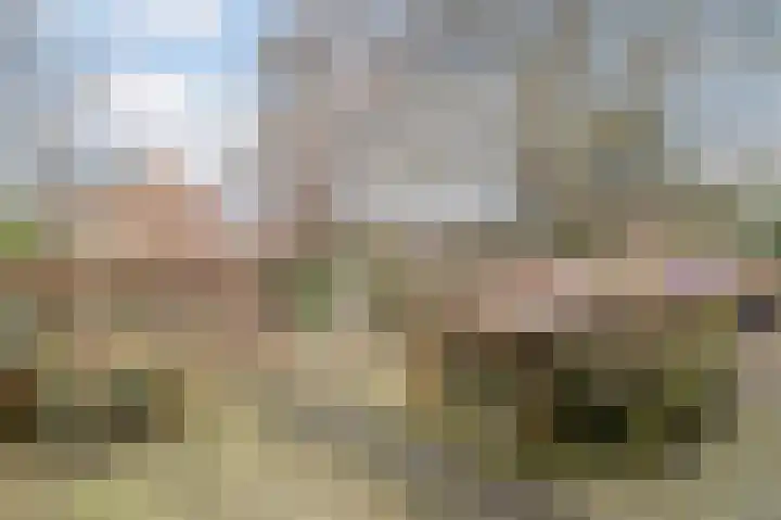 Hoekeindseweg 1 Bleiswijk thumbnail 33
