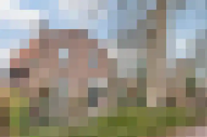 Hoekeindseweg 1 Bleiswijk thumbnail 5