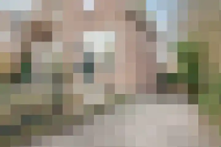 Hoekeindseweg 1 Bleiswijk thumbnail 6