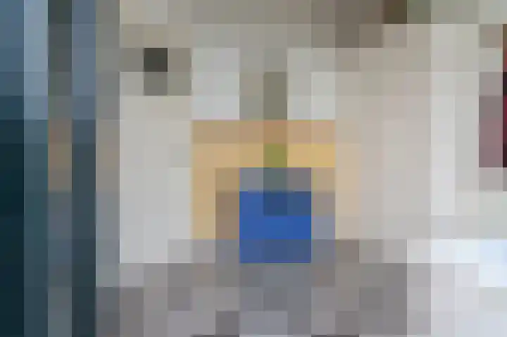 Hoekeindseweg 1 Bleiswijk thumbnail 7