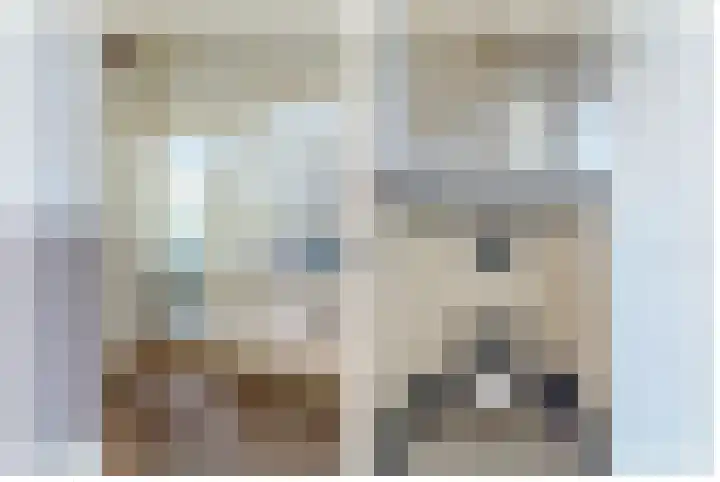 Hoekeindseweg 1 Bleiswijk thumbnail 8