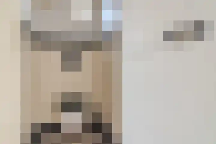 Hoekeindseweg 1 Bleiswijk thumbnail 9