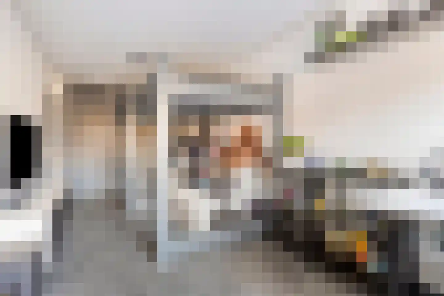 Hoekeindseweg 111 Bleiswijk thumbnail 12