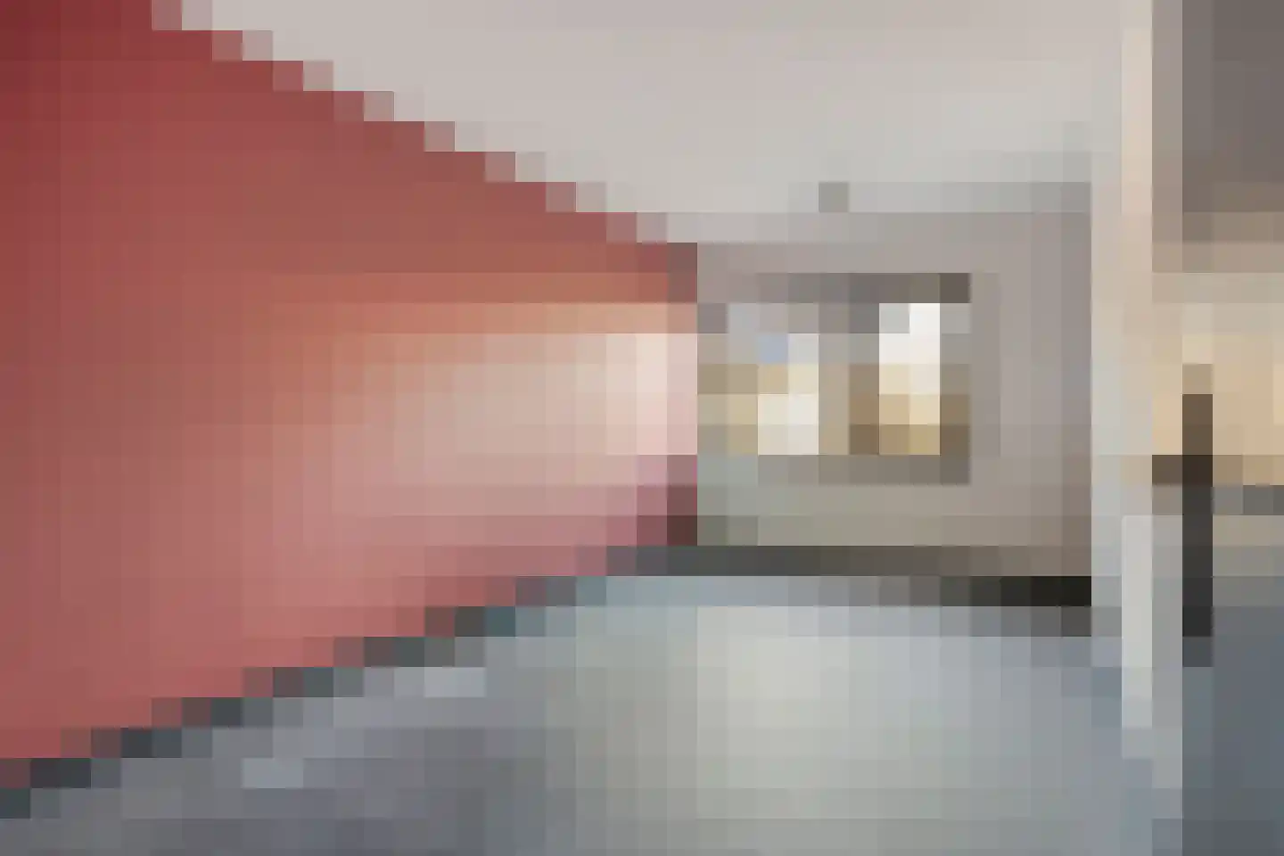 Hoekeindseweg 111 Bleiswijk thumbnail 13