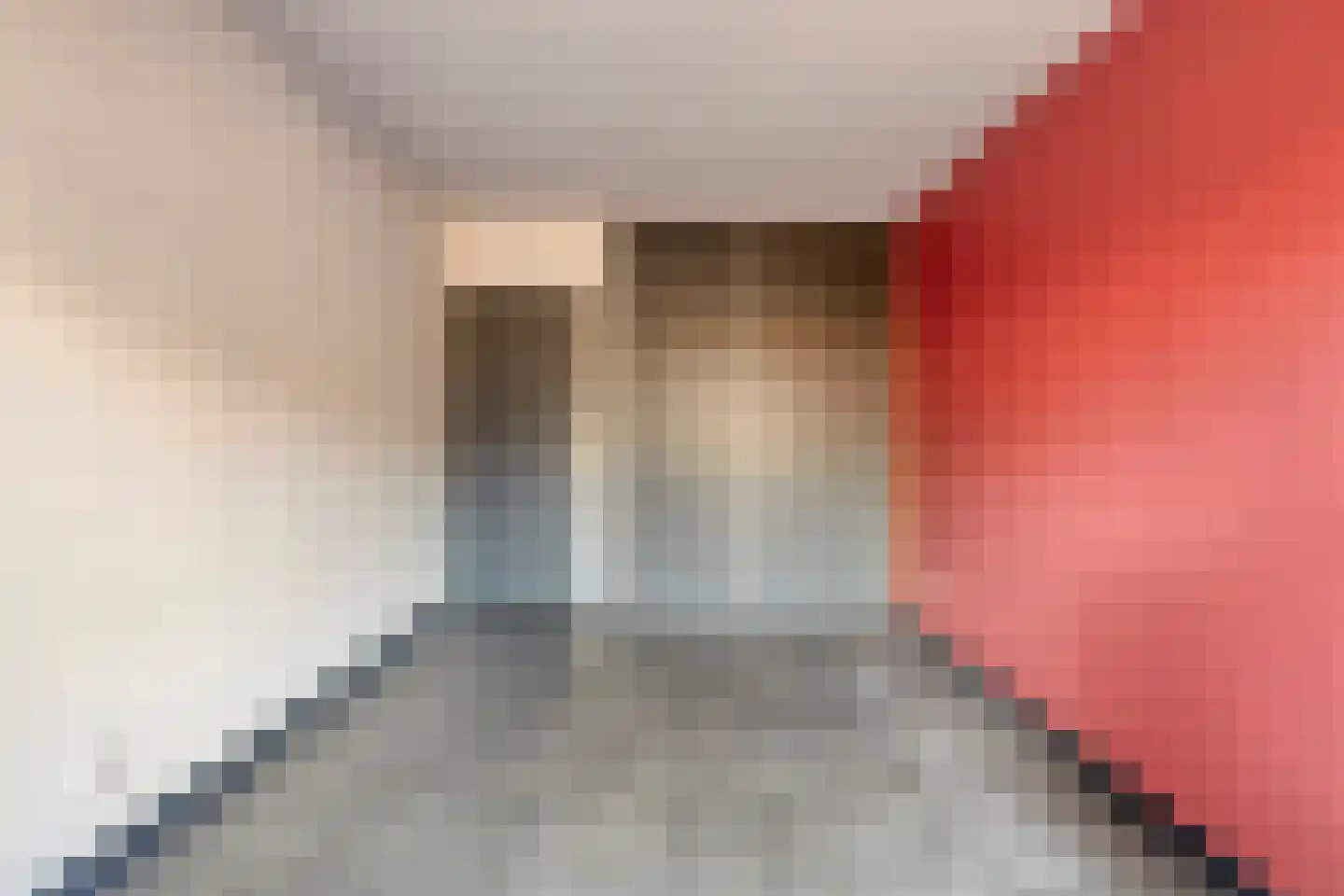 Hoekeindseweg 111 Bleiswijk thumbnail 14