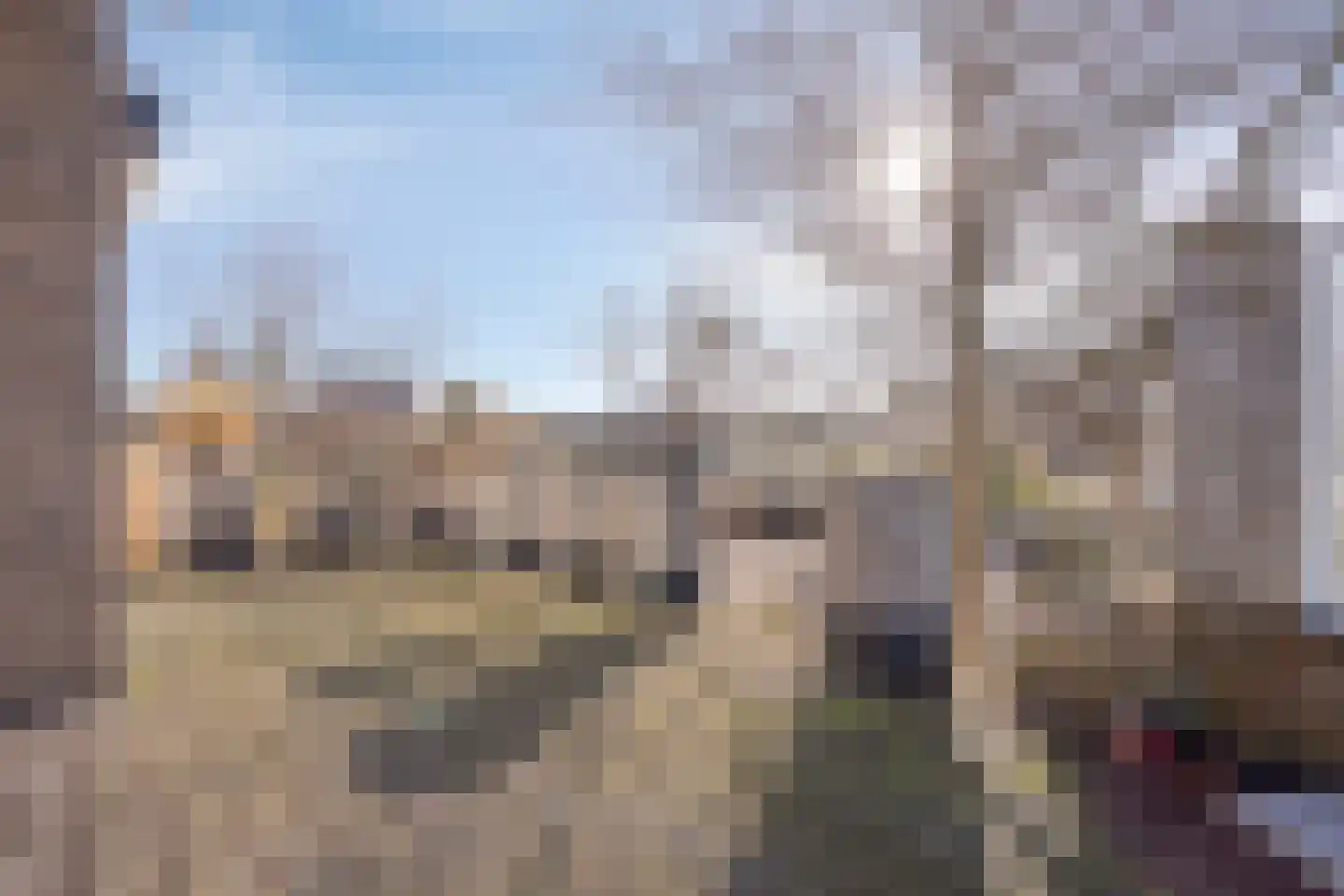 Hoekeindseweg 111 Bleiswijk thumbnail 27