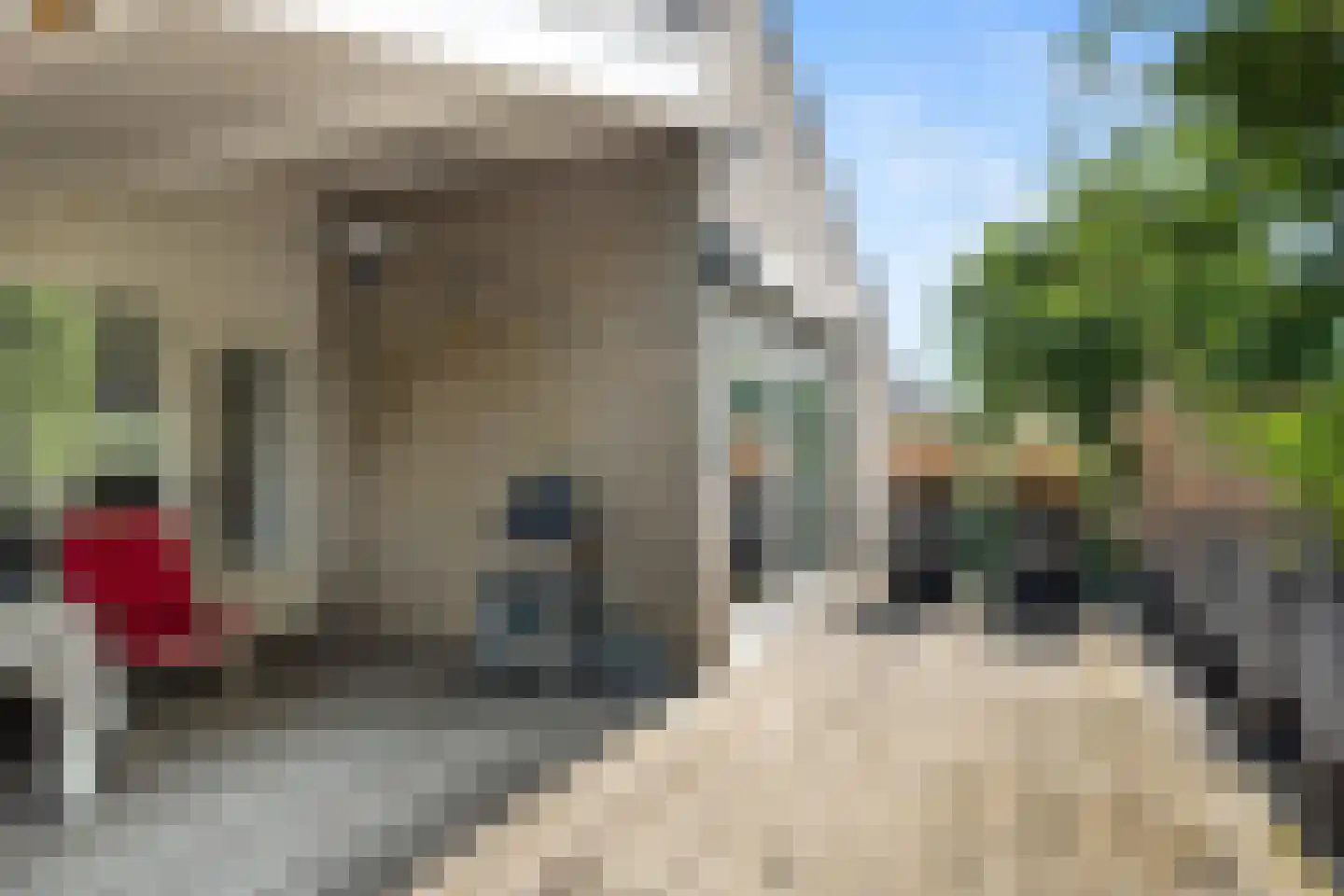 Hoekeindseweg 111 Bleiswijk thumbnail 27