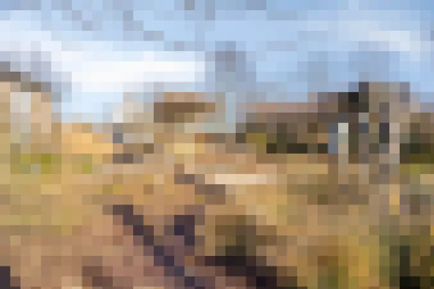 Hoekeindseweg 111 Bleiswijk thumbnail 29