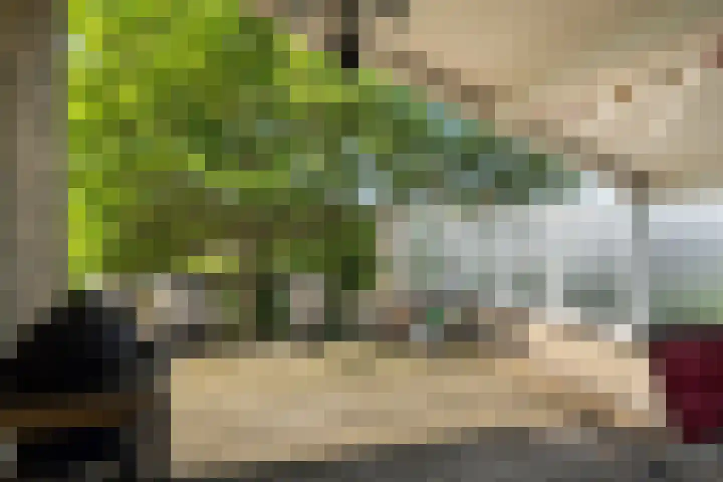 Hoekeindseweg 111 Bleiswijk thumbnail 29
