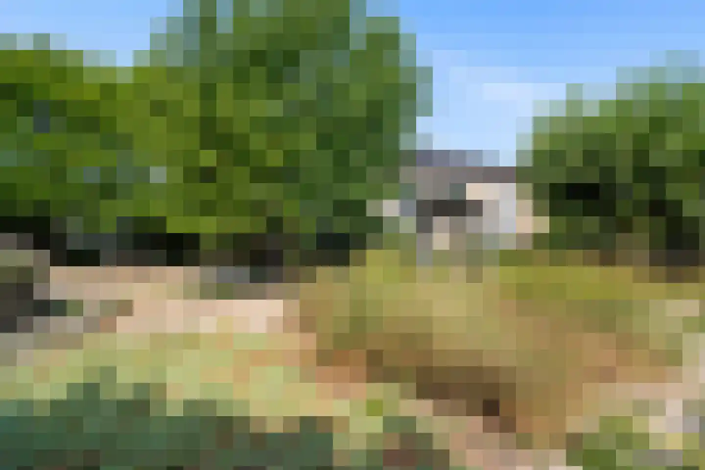 Hoekeindseweg 111 Bleiswijk thumbnail 31