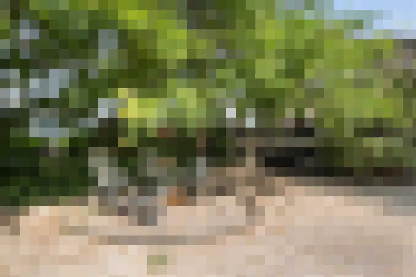 Hoekeindseweg 111 Bleiswijk thumbnail 33