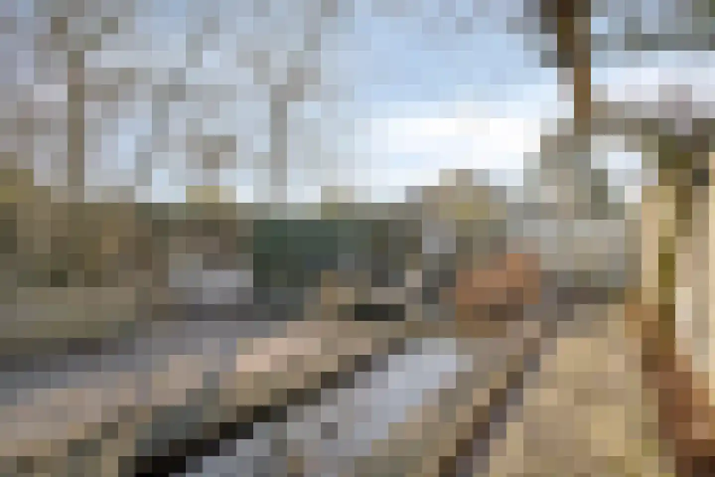 Hoekeindseweg 111 Bleiswijk thumbnail 33