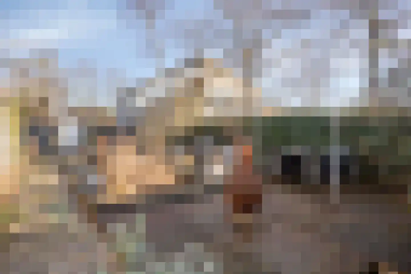 Hoekeindseweg 111 Bleiswijk thumbnail 34