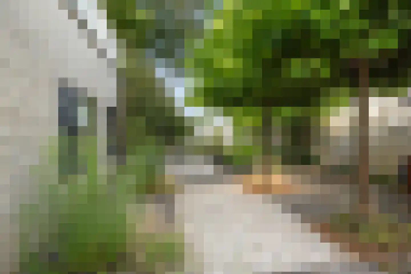 Hoekeindseweg 111 Bleiswijk thumbnail 35