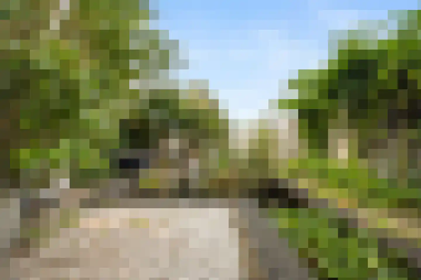 Hoekeindseweg 111 Bleiswijk thumbnail 36