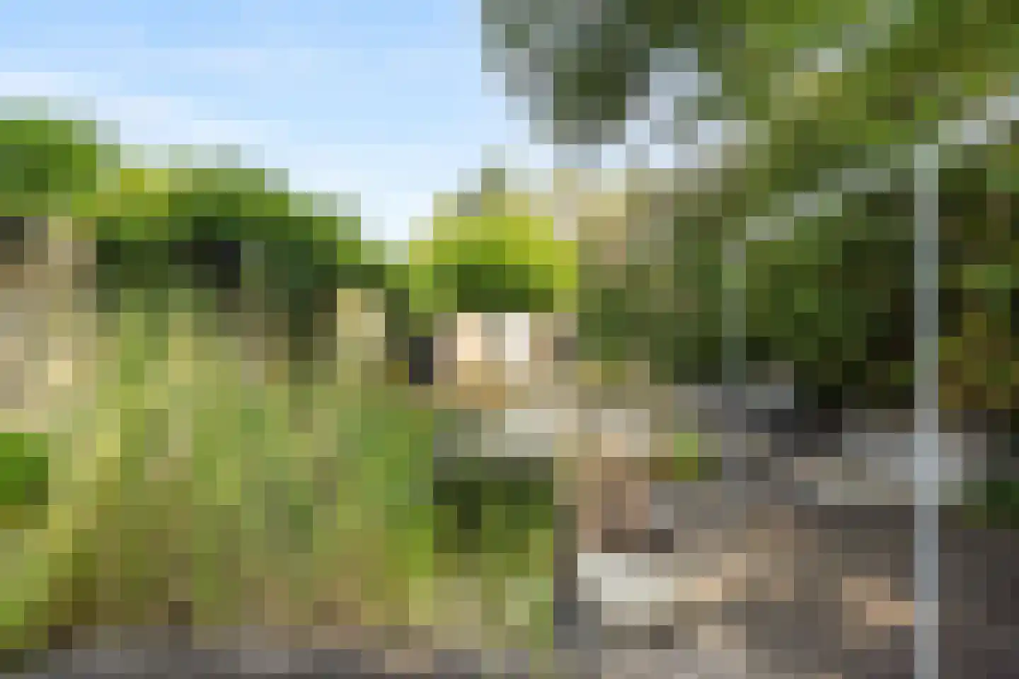 Hoekeindseweg 111 Bleiswijk thumbnail 37