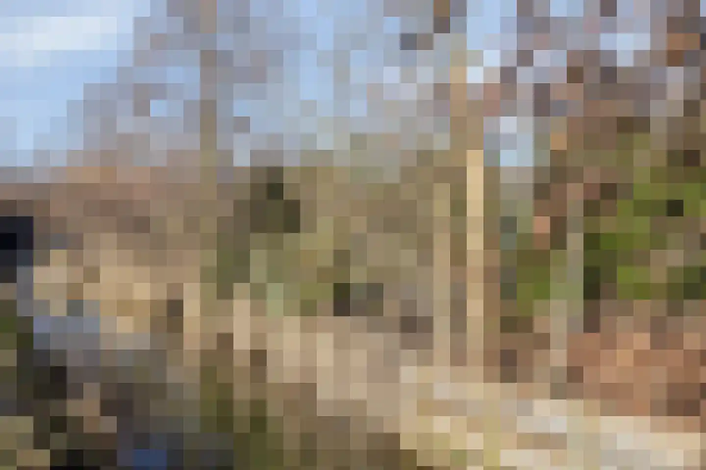 Hoekeindseweg 111 Bleiswijk thumbnail 38