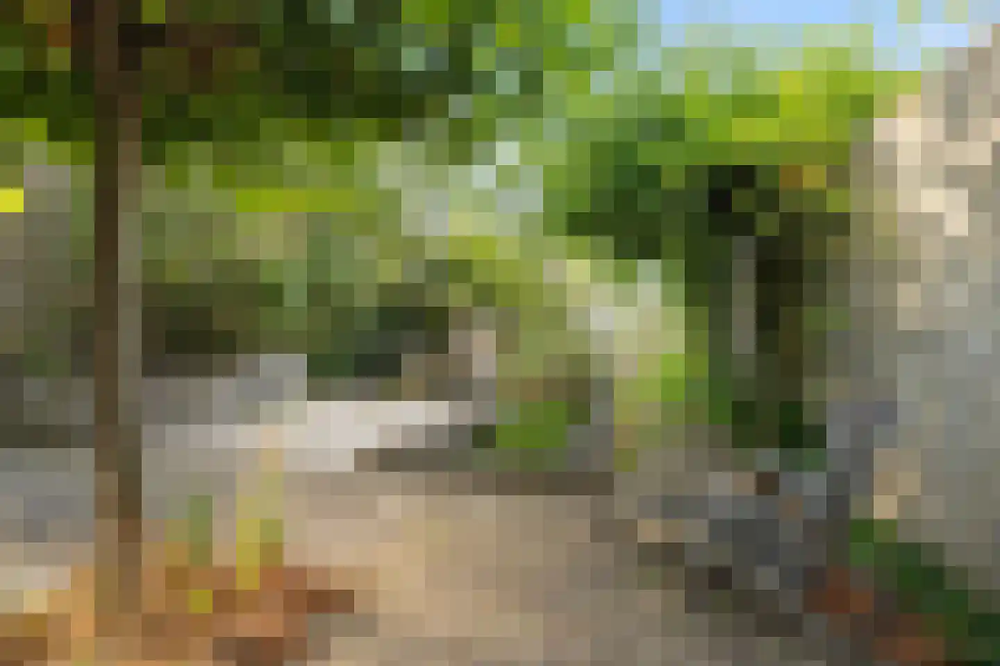 Hoekeindseweg 111 Bleiswijk thumbnail 38