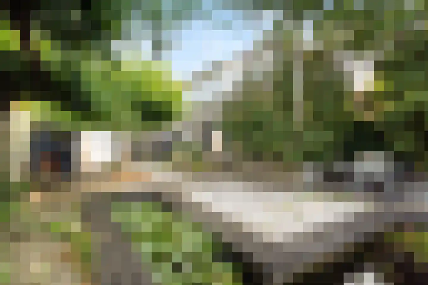 Hoekeindseweg 111 Bleiswijk thumbnail 39