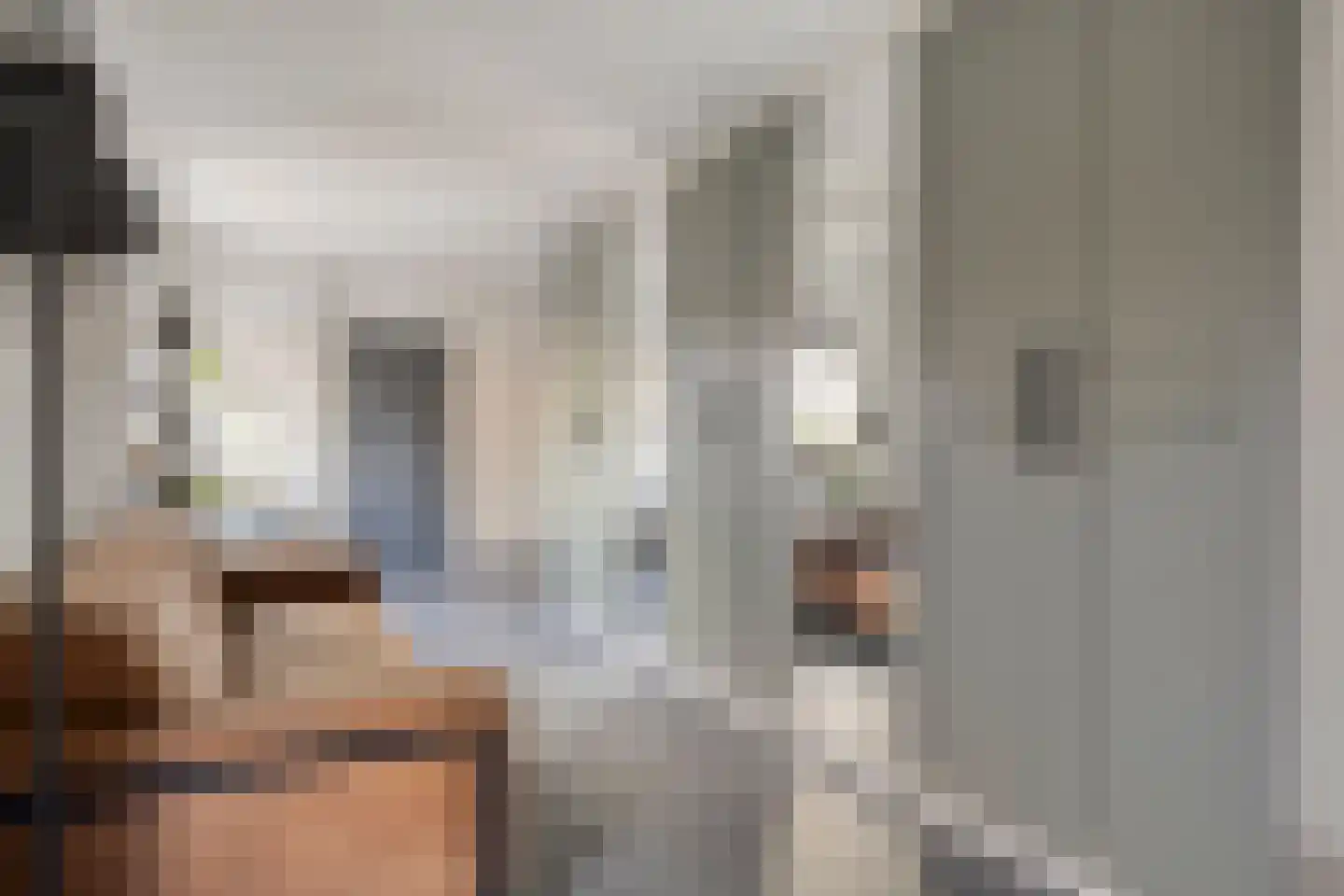 Hoekeindseweg 111 Bleiswijk thumbnail 4