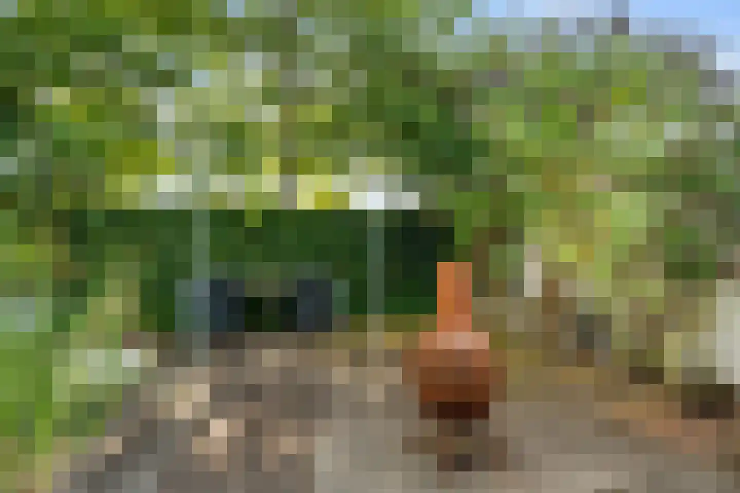 Hoekeindseweg 111 Bleiswijk thumbnail 40