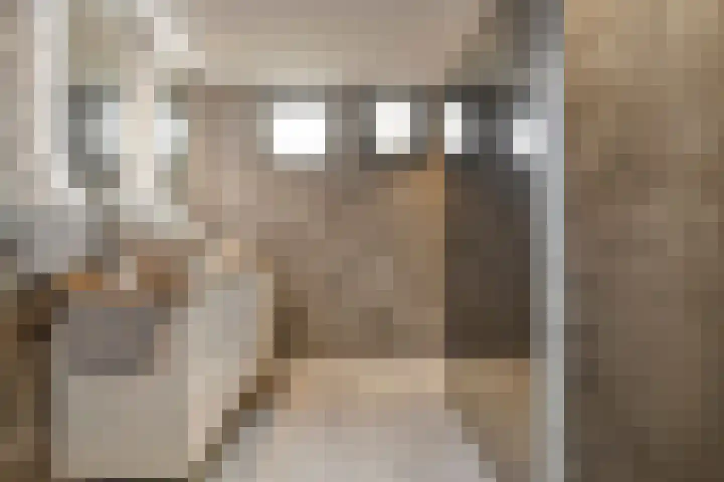 Hoekeindseweg 111 Bleiswijk thumbnail 8