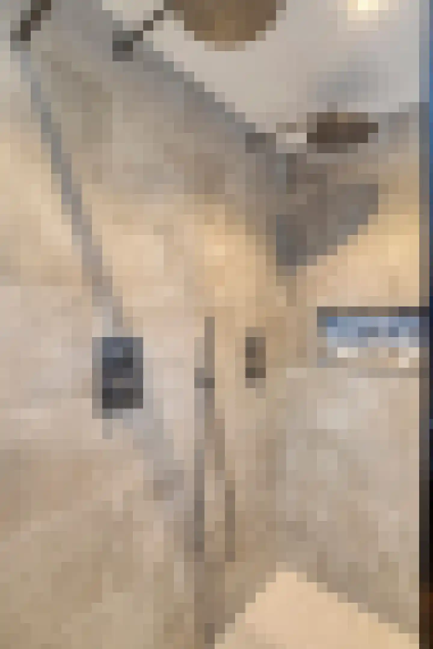 Hoekeindseweg 111 Bleiswijk thumbnail 9