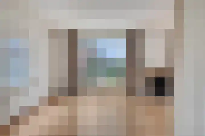 Hoekeindseweg 162 Bleiswijk thumbnail 11