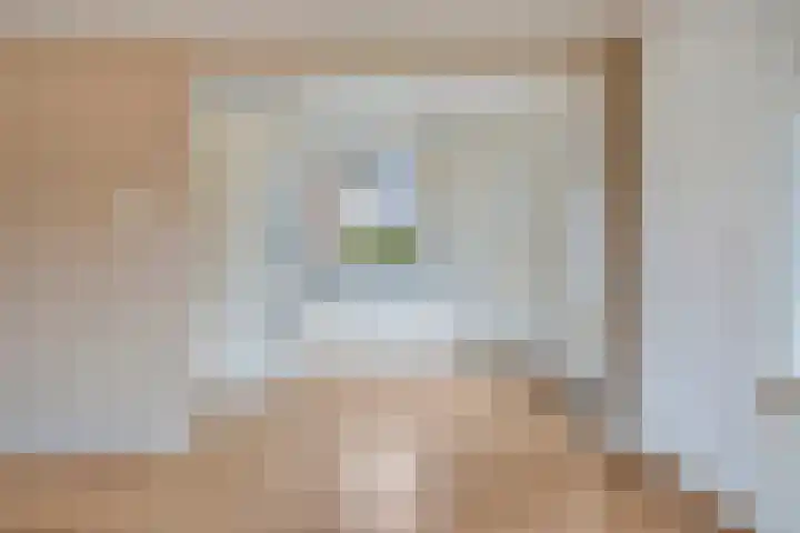 Hoekeindseweg 162 Bleiswijk thumbnail 12