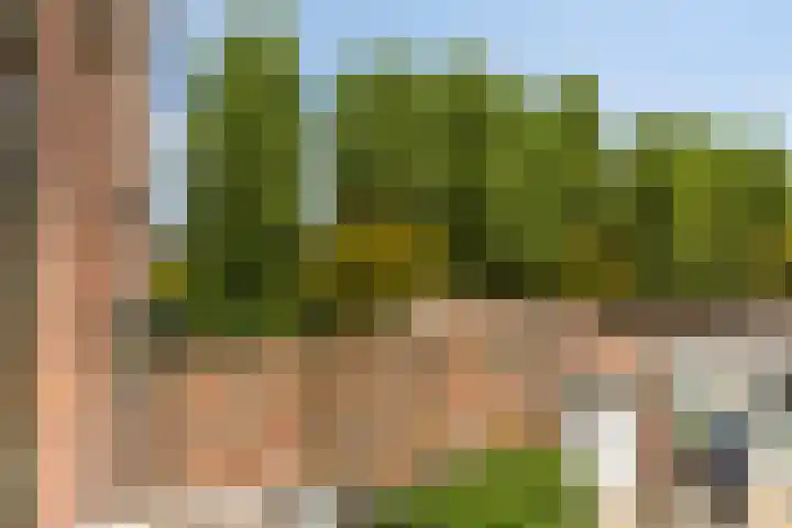 Hoekeindseweg 162 Bleiswijk thumbnail 28