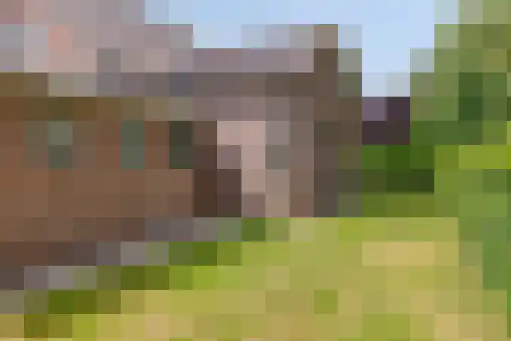 Hoekeindseweg 162 Bleiswijk thumbnail 34