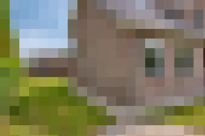 Hoekeindseweg 162 Bleiswijk thumbnail 35