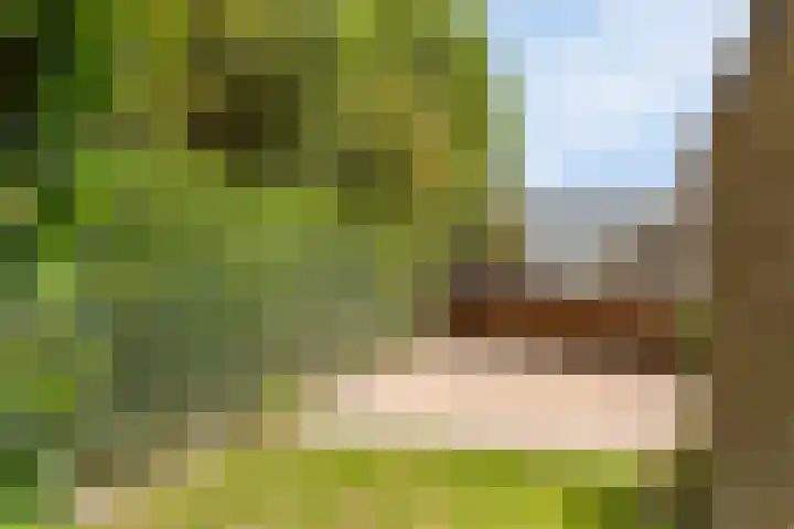 Hoekeindseweg 162 Bleiswijk thumbnail 36
