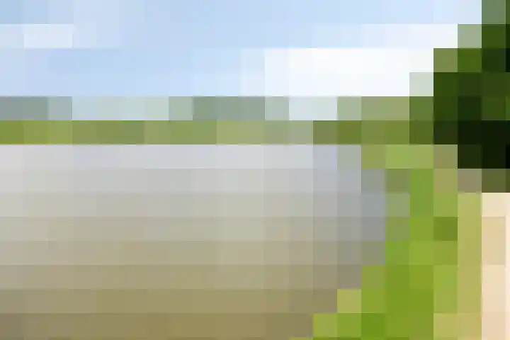 Hoekeindseweg 162 Bleiswijk thumbnail 40