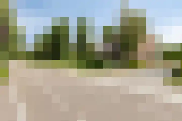 Hoekeindseweg 162 Bleiswijk thumbnail 42