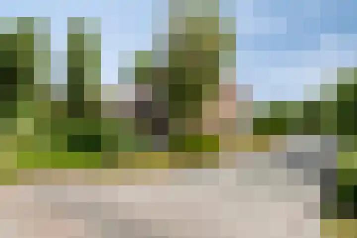 Hoekeindseweg 162 Bleiswijk thumbnail 43