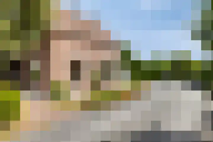 Hoekeindseweg 162 Bleiswijk thumbnail 44