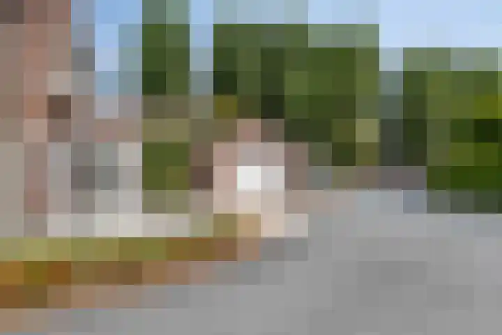 Hoekeindseweg 162 Bleiswijk thumbnail 45