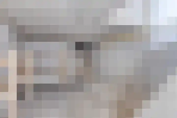 Hoekeindseweg 162 Bleiswijk thumbnail 7