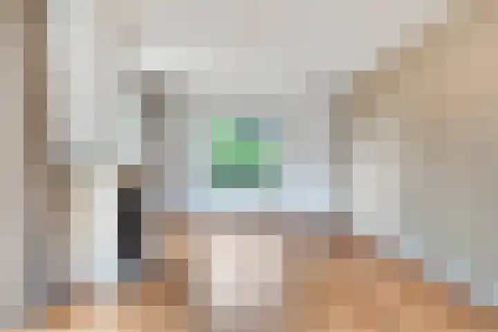 Hoekeindseweg 162 Bleiswijk thumbnail 8